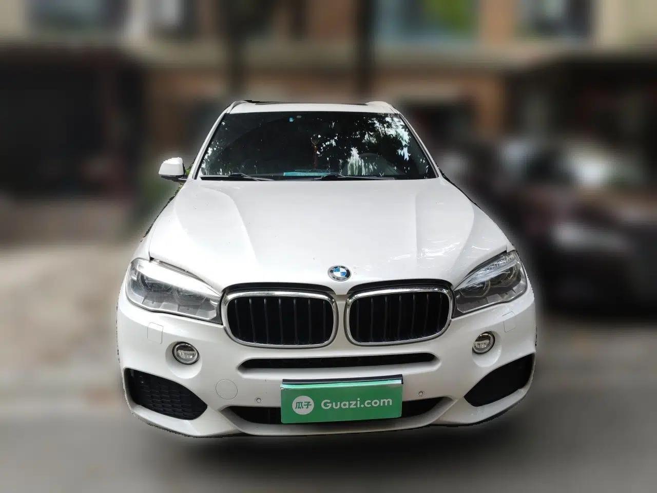 BMW X5 2018 BMW X5, automatic, gasoline, five seats, 3.0-liter engine displacement — миниатюра 2