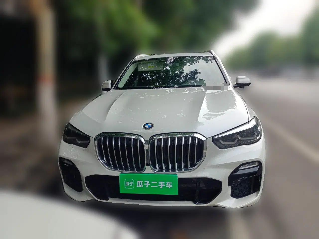BMW X5 2019 xDrive30i M Sport Package — миниатюра 2
