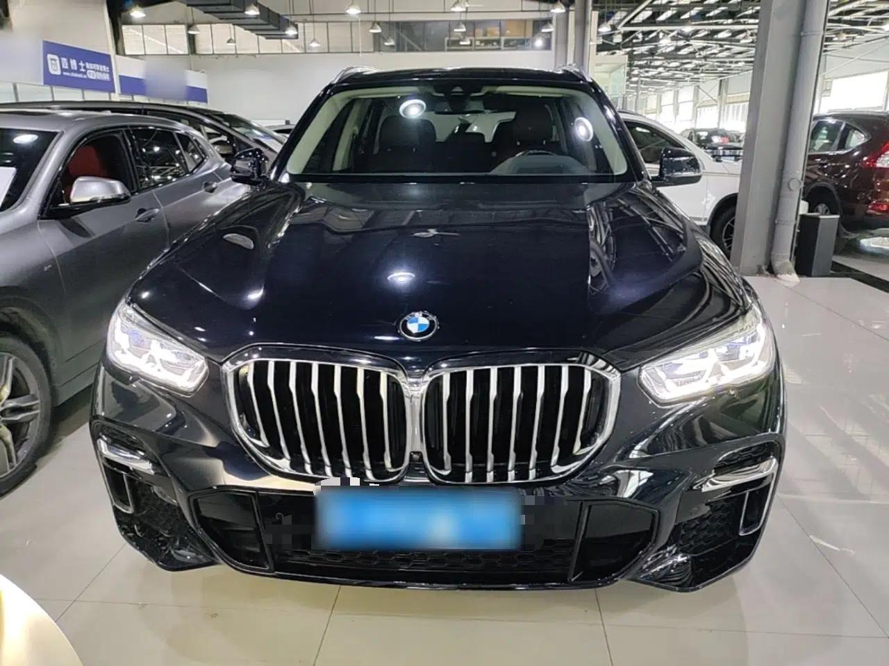 BMW X5 2022 xDrive 30Li Luxury M Sport Package — миниатюра 2