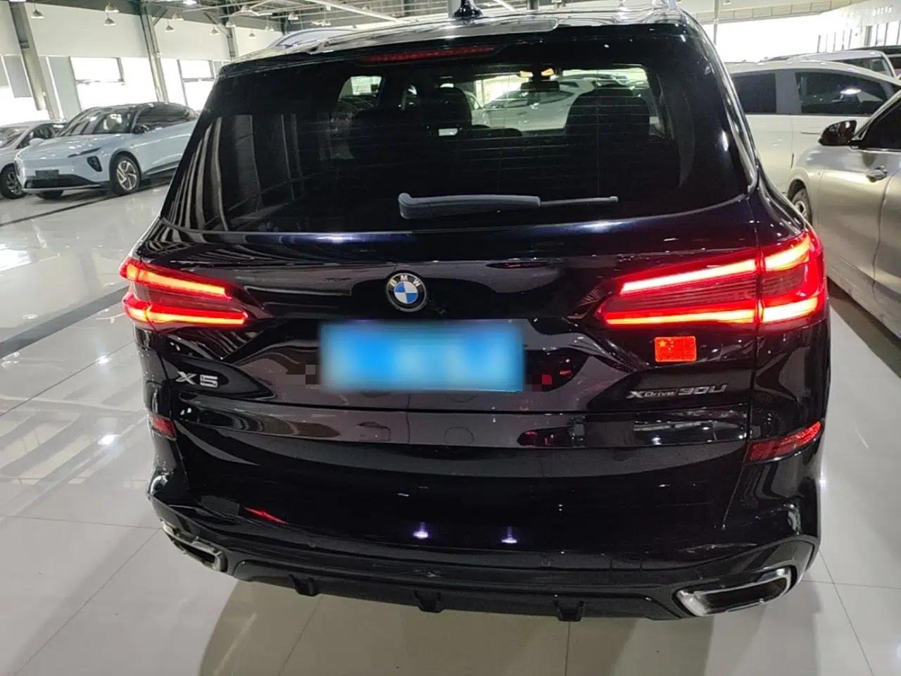 BMW X5 2022 xDrive 30Li Luxury M Sport Package — миниатюра 5