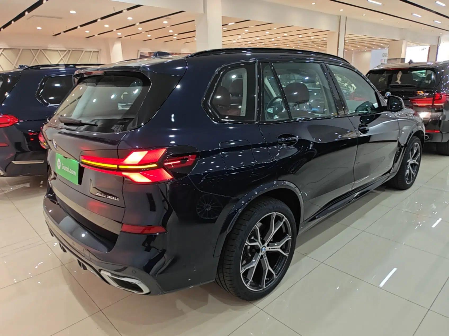 BMW X5 2023 xDrive 30Li Luxury M Sport Night Edition Package — миниатюра 6