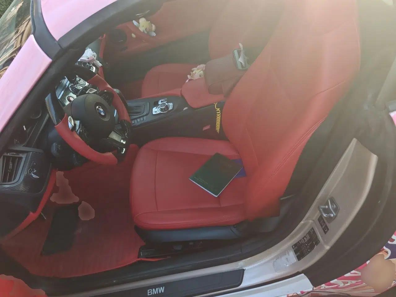 BMW Z4 2011 sDrive23i Flame Limited Edition — миниатюра 15