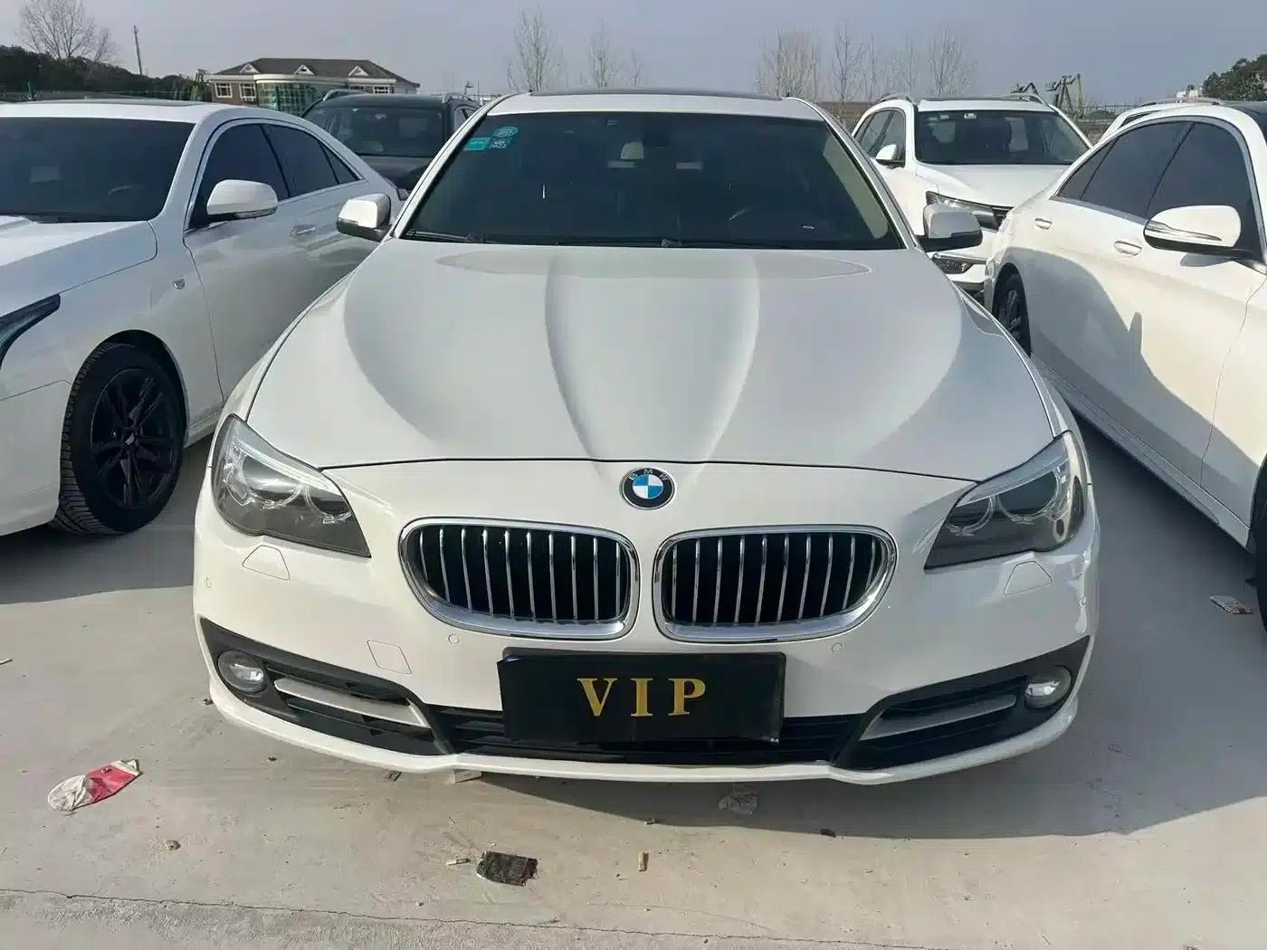 BMW 5 Series 2013 520Li Elegant Edition — миниатюра 1