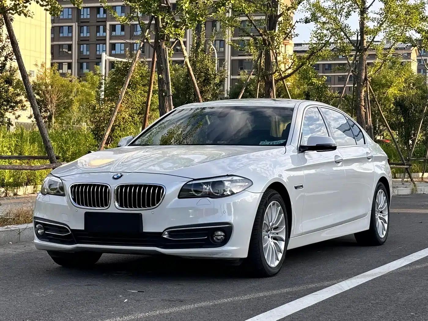 2014 BMW 5 Series 525Li Luxury Design Package — миниатюра 1