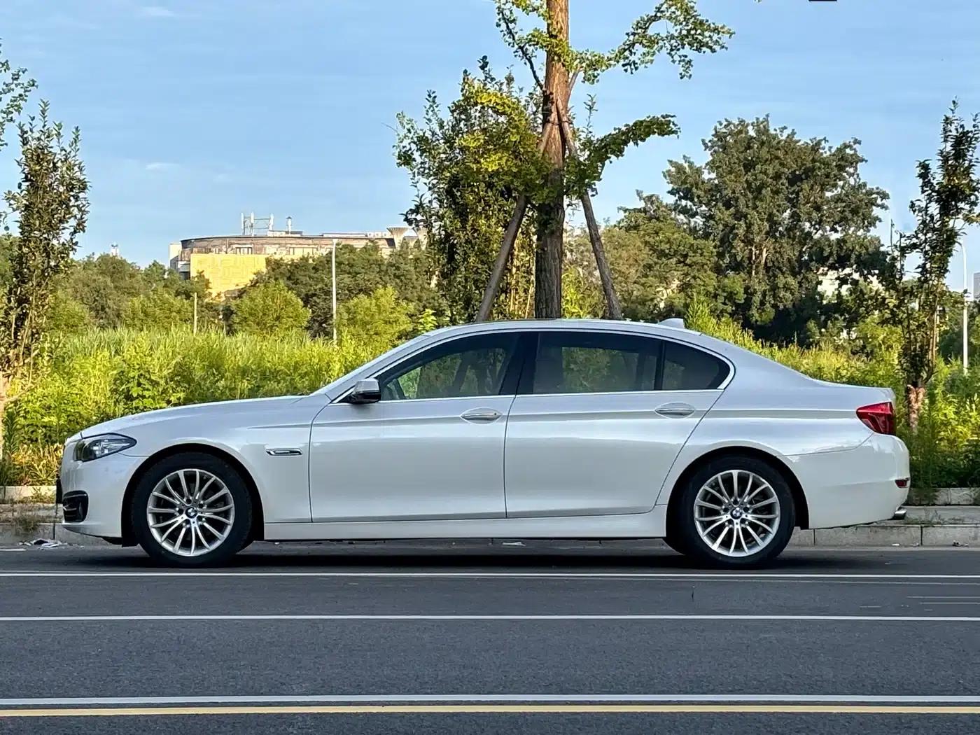 2014 BMW 5 Series 525Li Luxury Design Package — миниатюра 2
