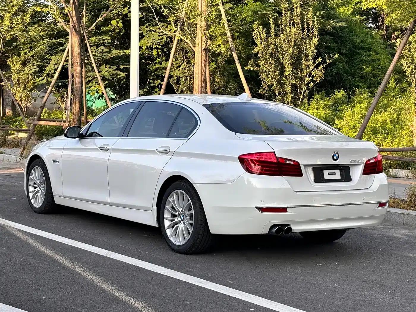 2014 BMW 5 Series 525Li Luxury Design Package — миниатюра 3