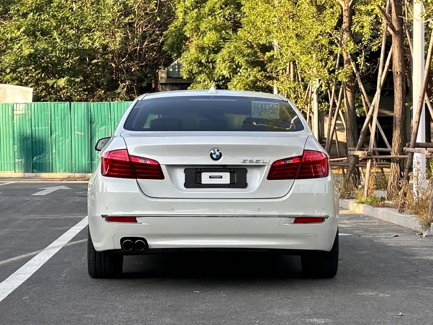 2014 BMW 5 Series 525Li Luxury Design Package — миниатюра 4