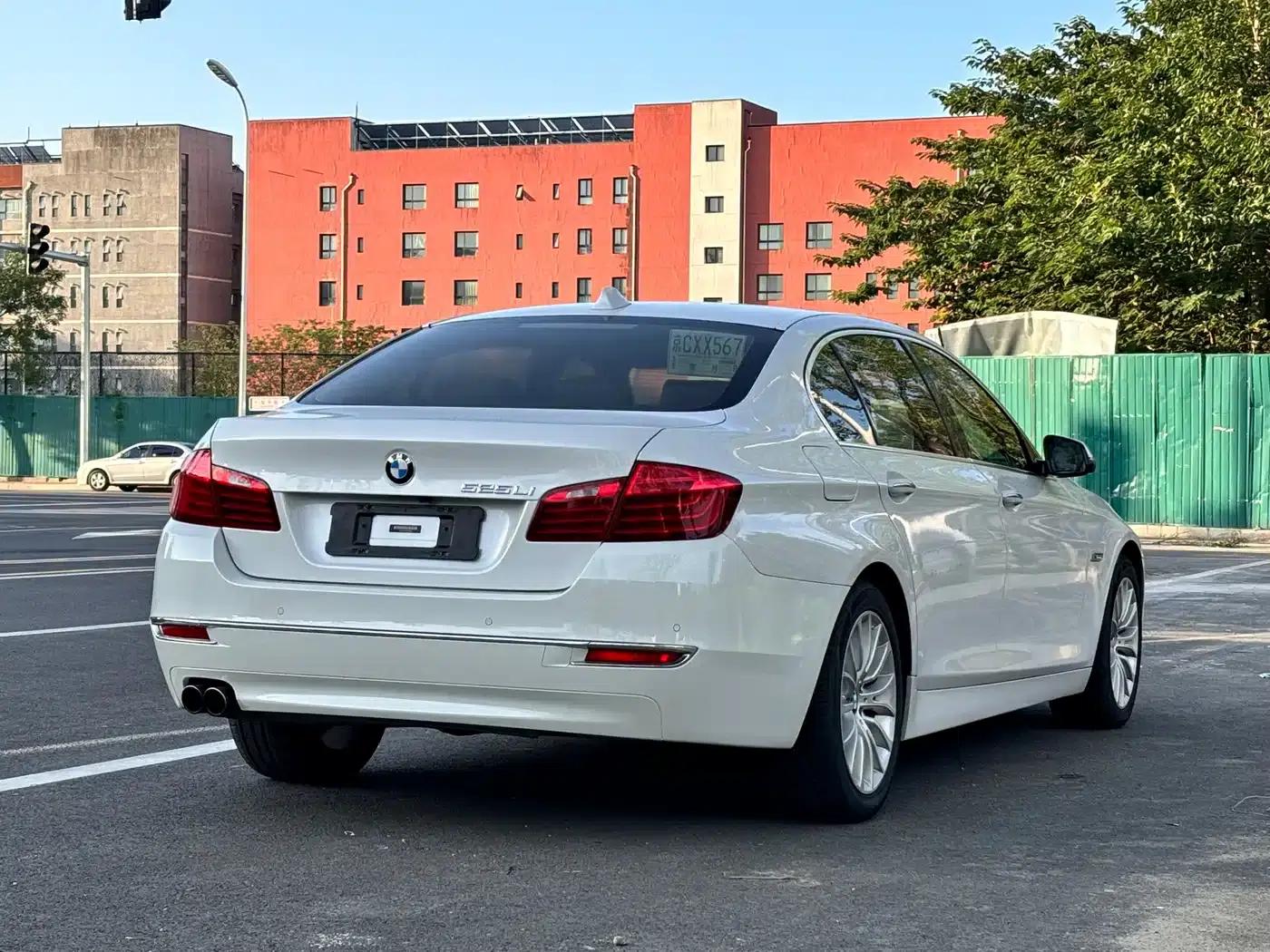 2014 BMW 5 Series 525Li Luxury Design Package — миниатюра 5