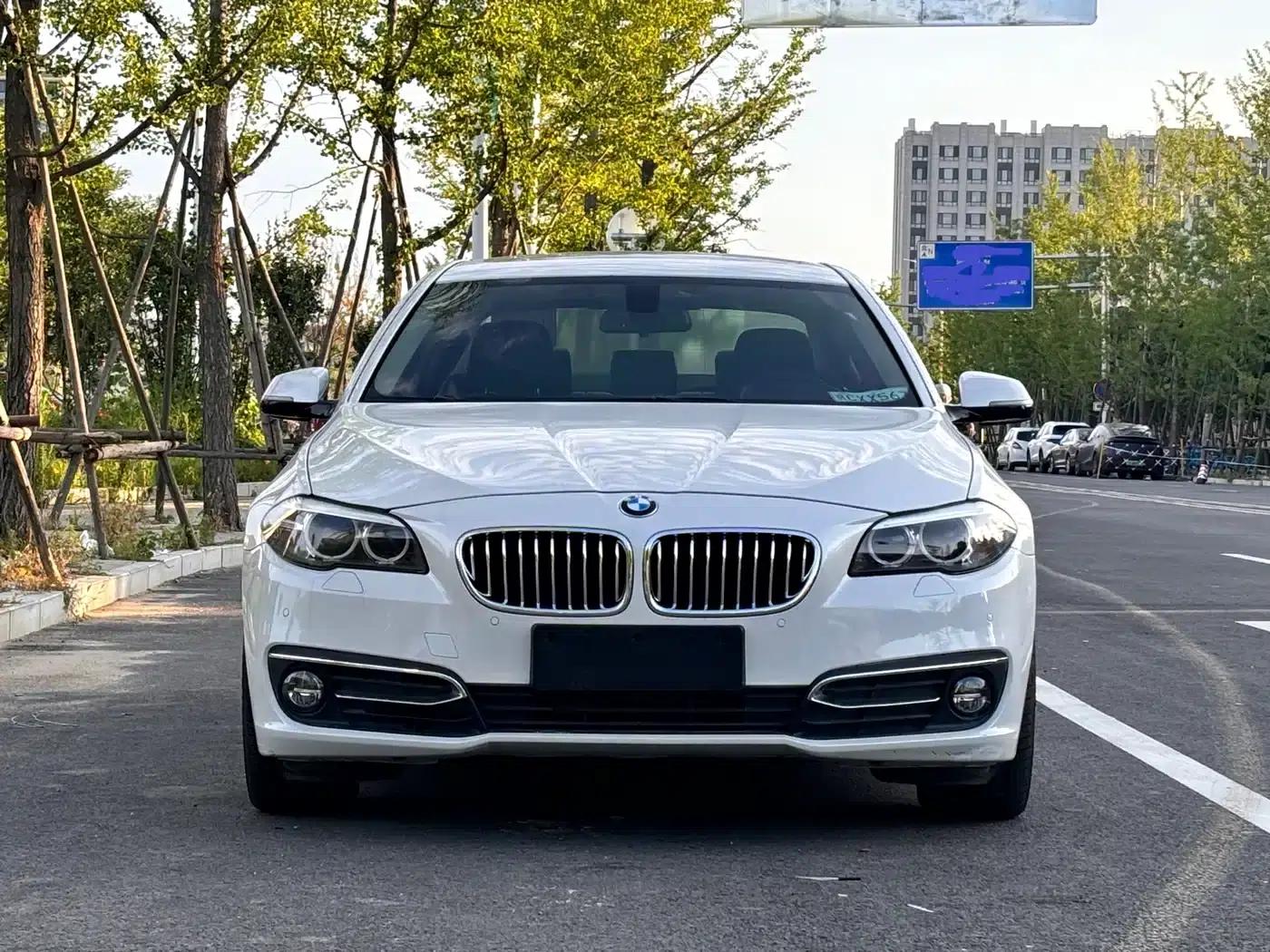 2014 BMW 5 Series 525Li Luxury Design Package — миниатюра 6