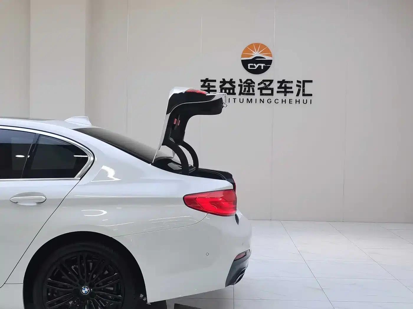 2020 BMW 5 Series 530Li Leading Edition M Sport Package — миниатюра 11