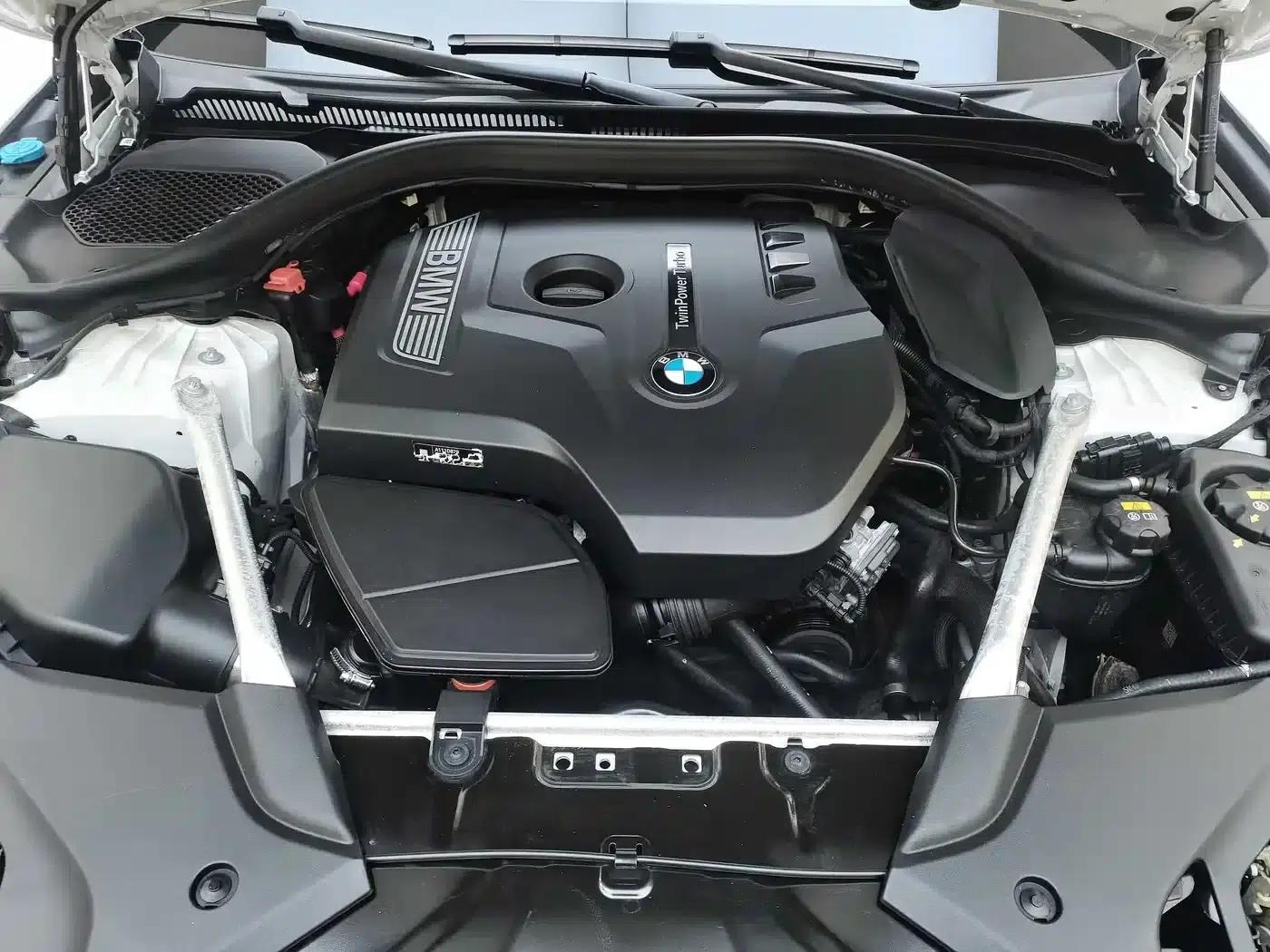 2020 BMW 5 Series 530Li Leading Edition M Sport Package — миниатюра 13