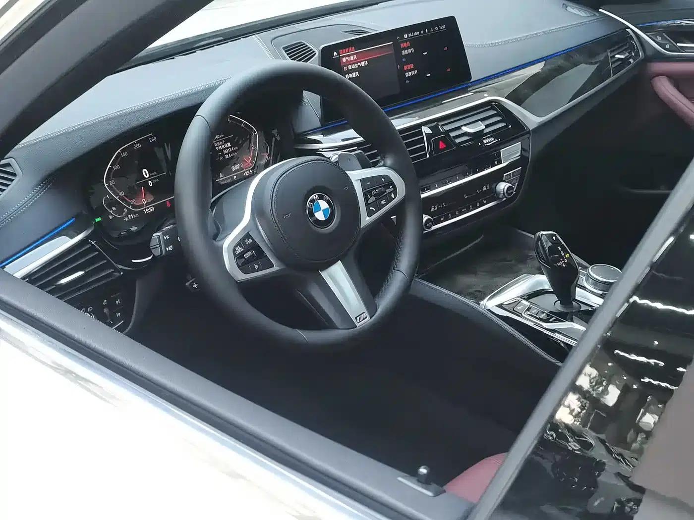 2020 BMW 5 Series 530Li Leading Edition M Sport Package — миниатюра 16