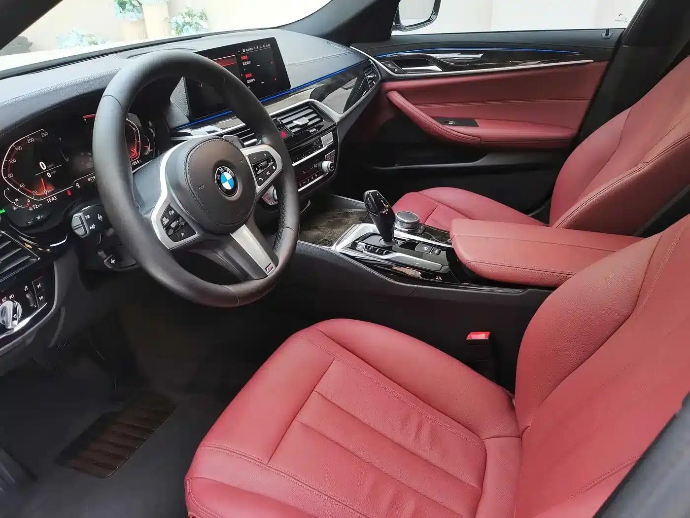 2020 BMW 5 Series 530Li Leading Edition M Sport Package — миниатюра 18