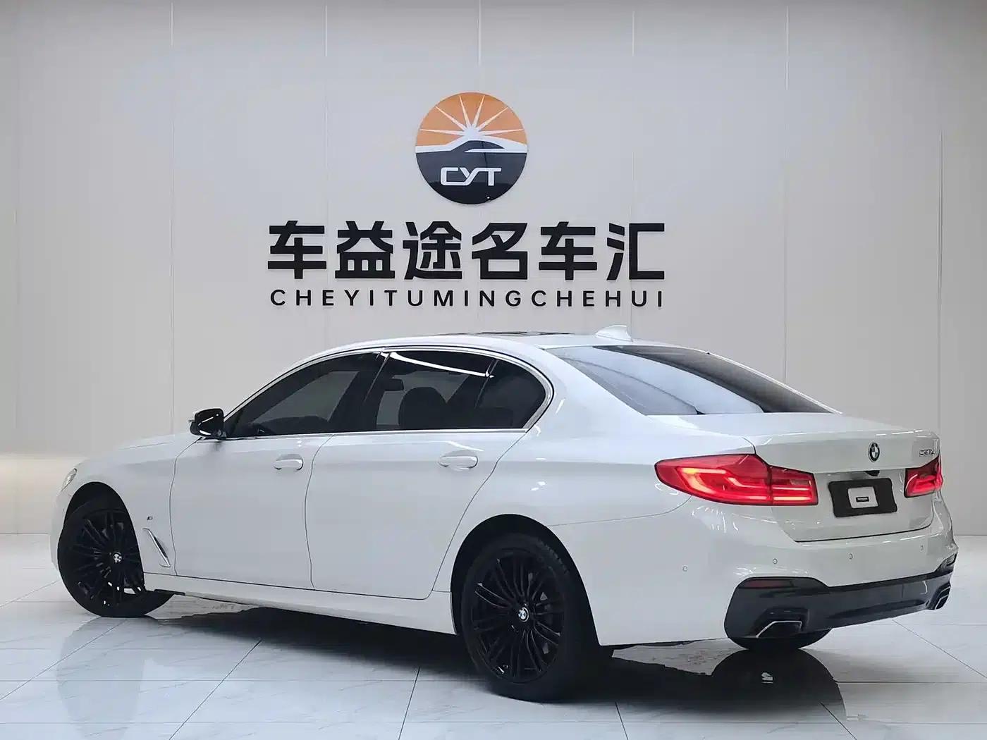 2020 BMW 5 Series 530Li Leading Edition M Sport Package — миниатюра 4