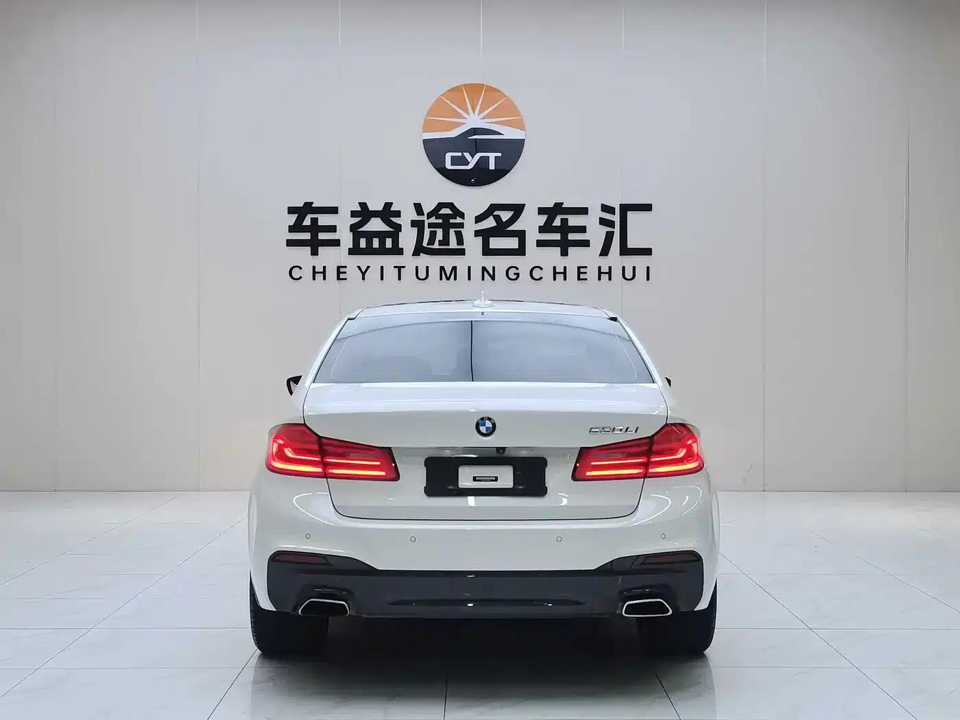 2020 BMW 5 Series 530Li Leading Edition M Sport Package — миниатюра 5