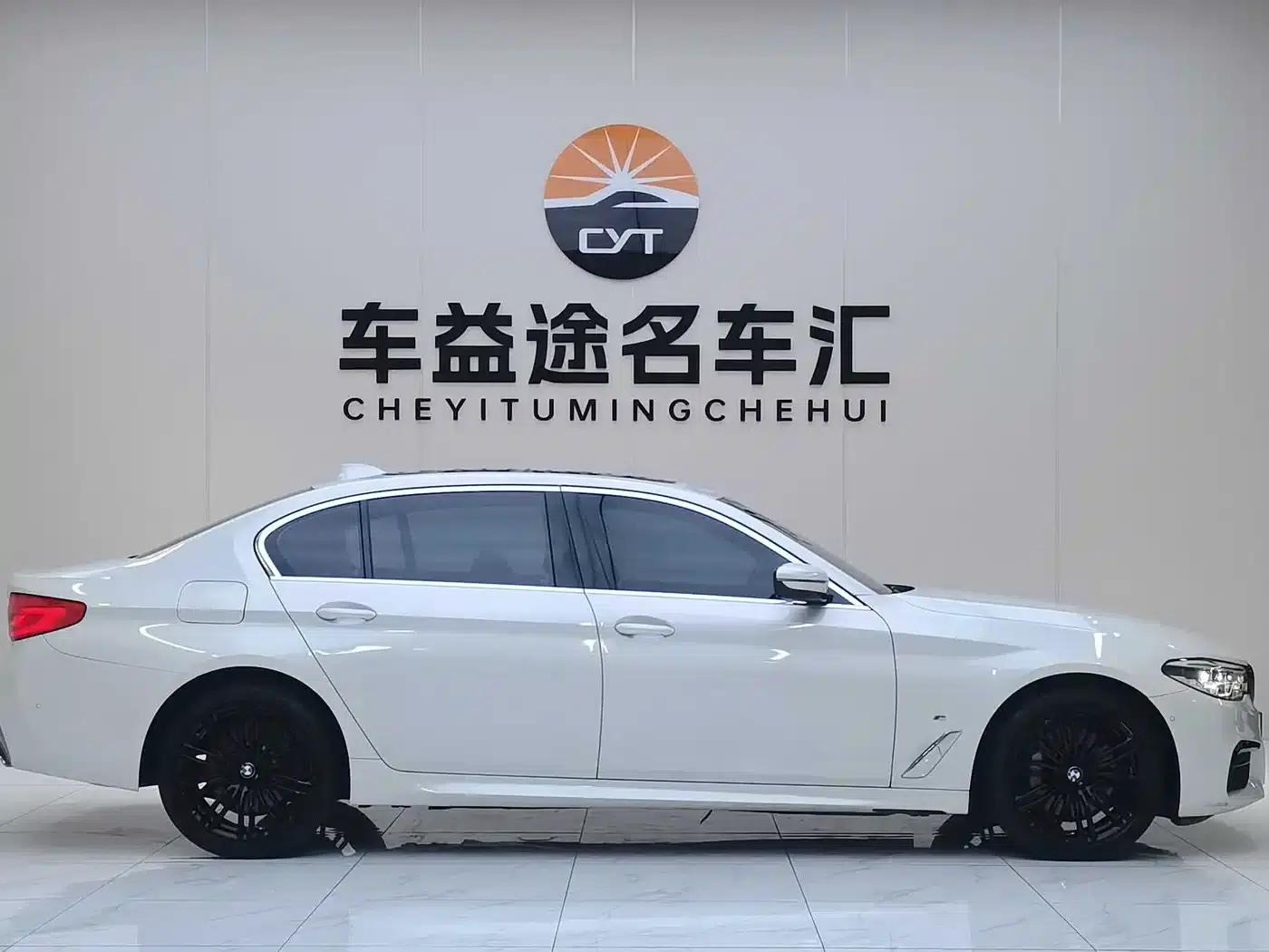 2020 BMW 5 Series 530Li Leading Edition M Sport Package — миниатюра 7