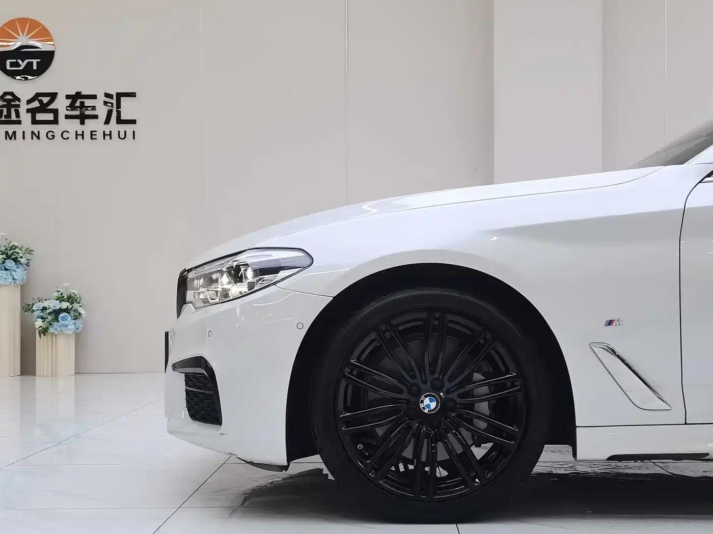 2020 BMW 5 Series 530Li Leading Edition M Sport Package — миниатюра 9