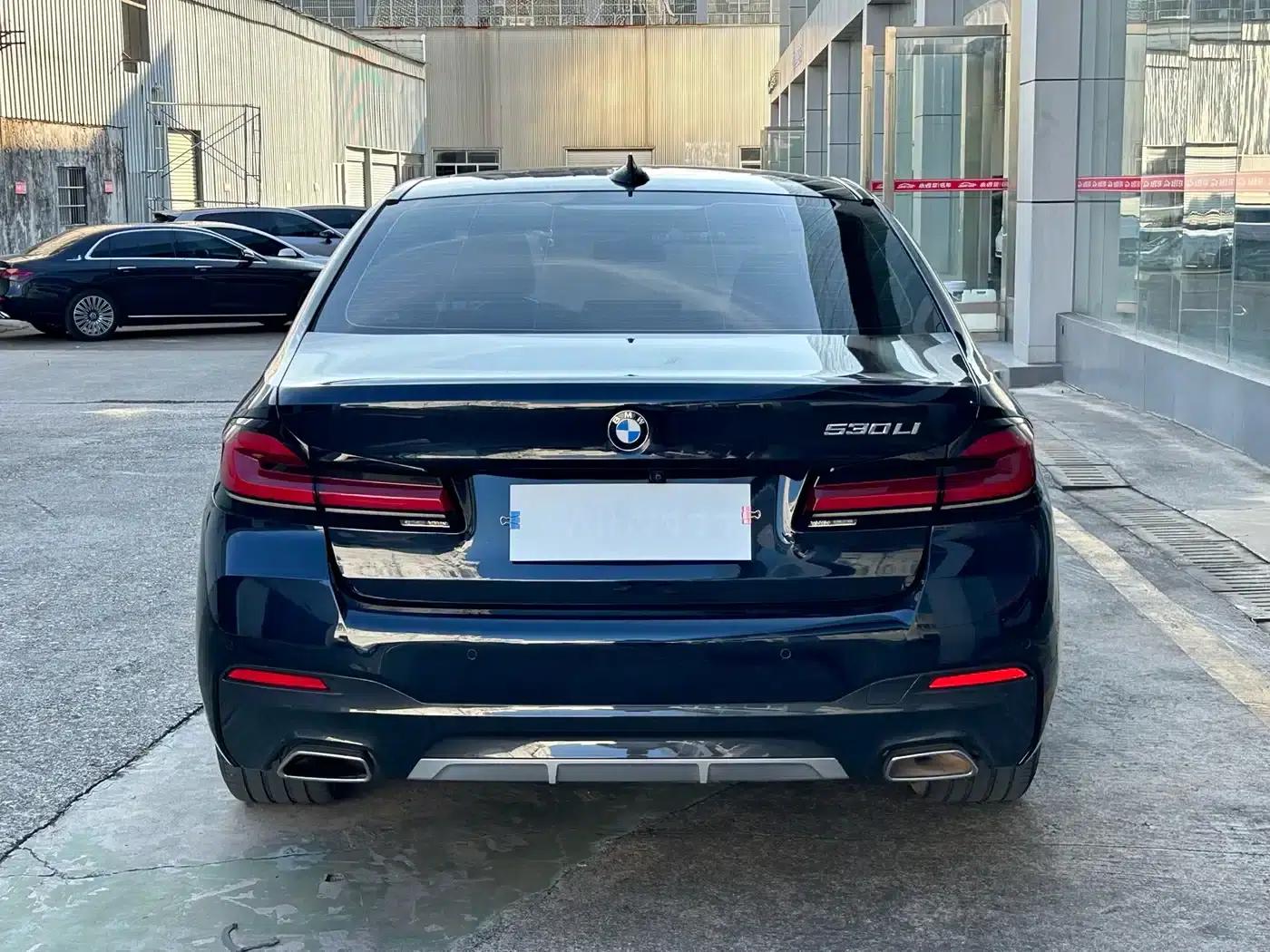 2021 BMW 5 Series 530Li Leading Edition M Sport Package — миниатюра 5