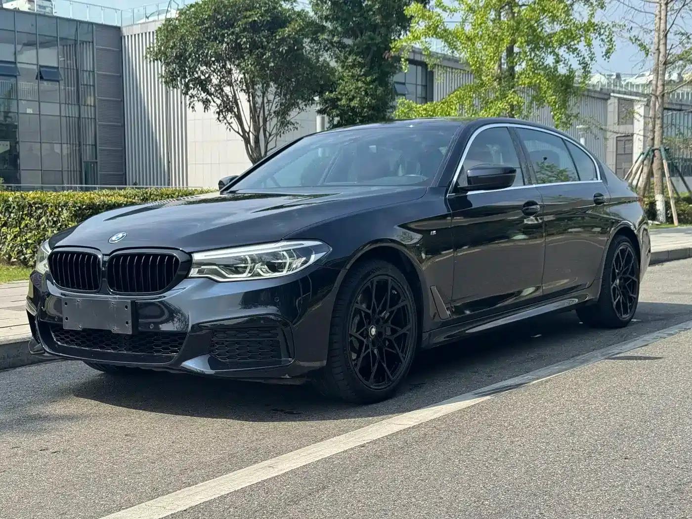 2020 BMW 5 Series 530Li xDrive M Sport Package — миниатюра 1