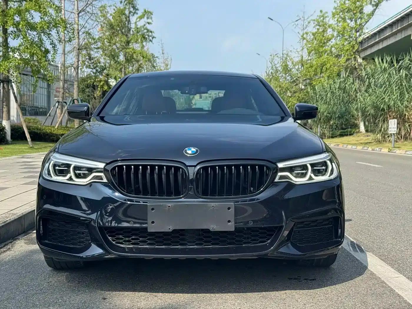 2020 BMW 5 Series 530Li xDrive M Sport Package — миниатюра 2