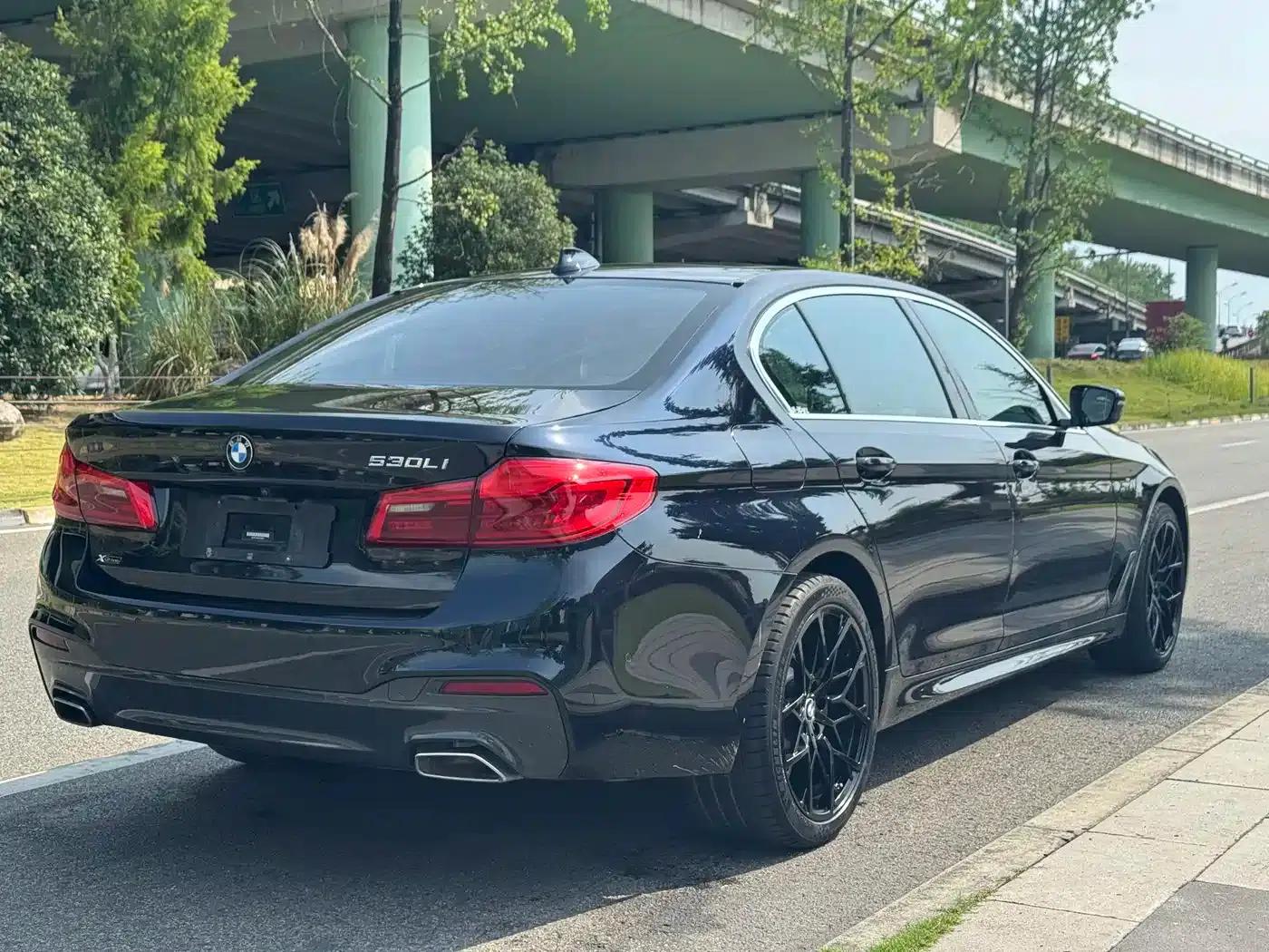 2020 BMW 5 Series 530Li xDrive M Sport Package — миниатюра 4