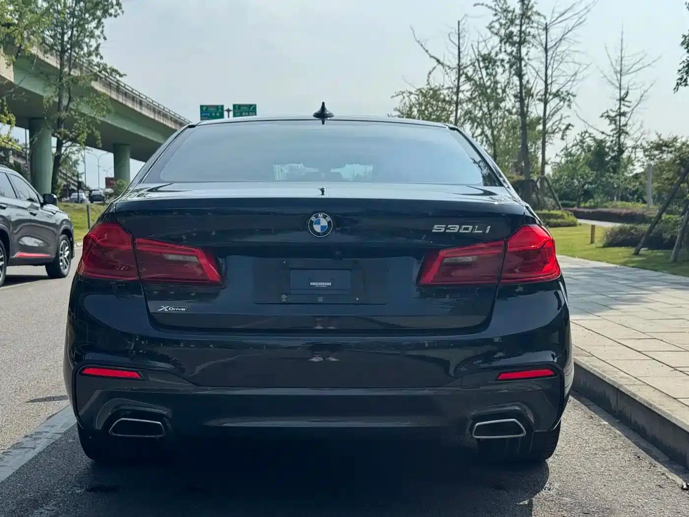 2020 BMW 5 Series 530Li xDrive M Sport Package — миниатюра 5