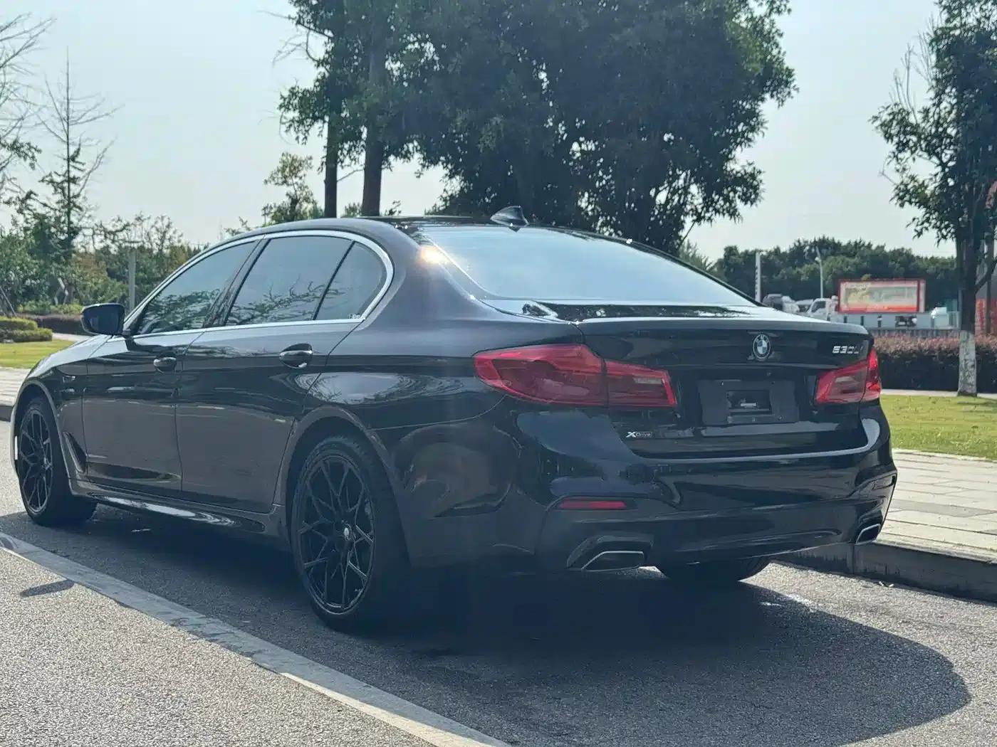 2020 BMW 5 Series 530Li xDrive M Sport Package — миниатюра 6