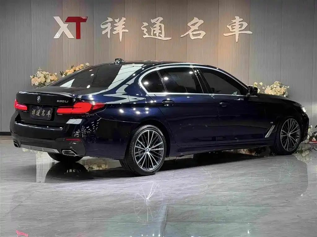 2022 BMW 5 Series Facelift 530Li xDrive M Sport Package — миниатюра 10
