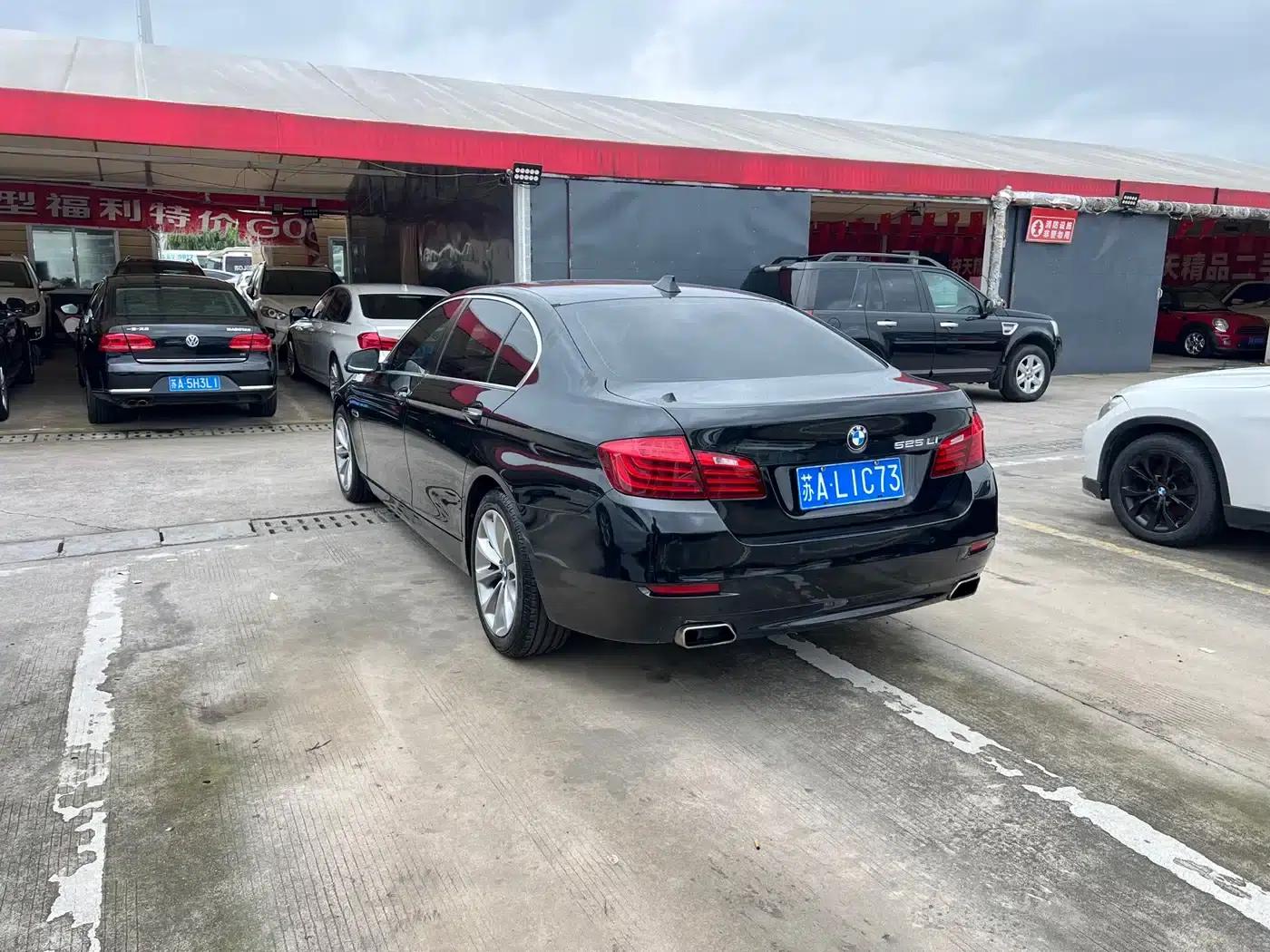 2017 BMW 5 Series 525Li Luxury Design Package — миниатюра 21