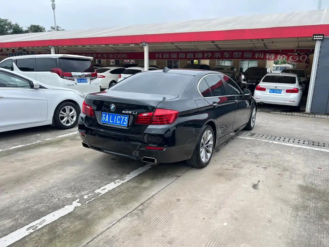 2017 BMW 5 Series 525Li Luxury Design Package — миниатюра 22