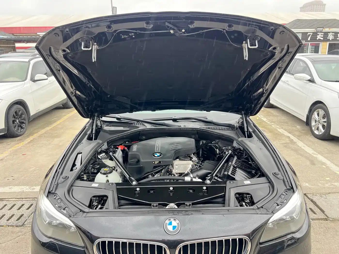 2017 BMW 5 Series 525Li Luxury Design Package — миниатюра 25