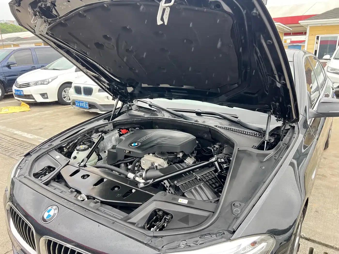 2017 BMW 5 Series 525Li Luxury Design Package — миниатюра 27
