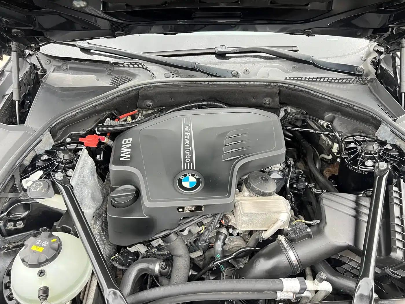2017 BMW 5 Series 525Li Luxury Design Package — миниатюра 28