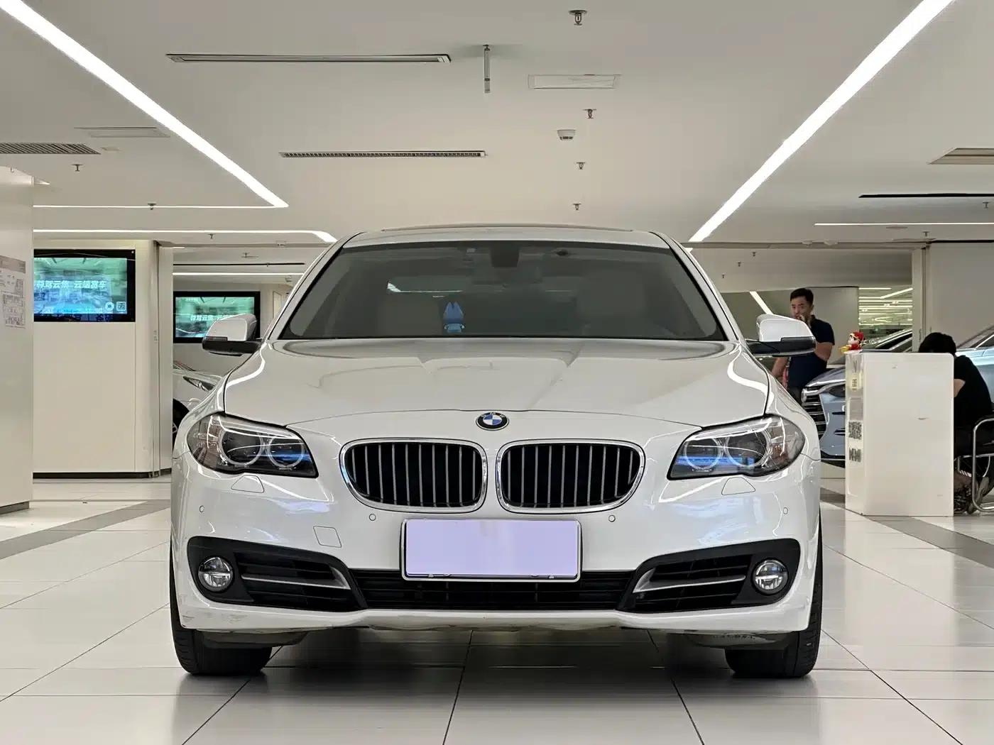 2014 BMW 5 Series 520Li Elegant Edition — миниатюра 2