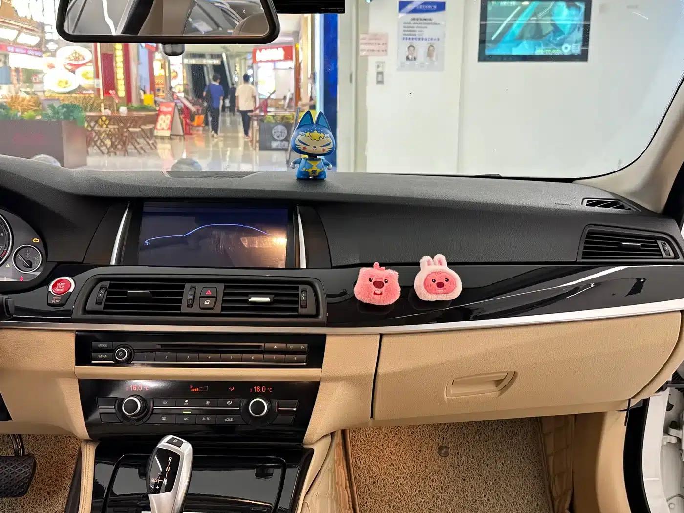 2014 BMW 5 Series 520Li Elegant Edition — миниатюра 16
