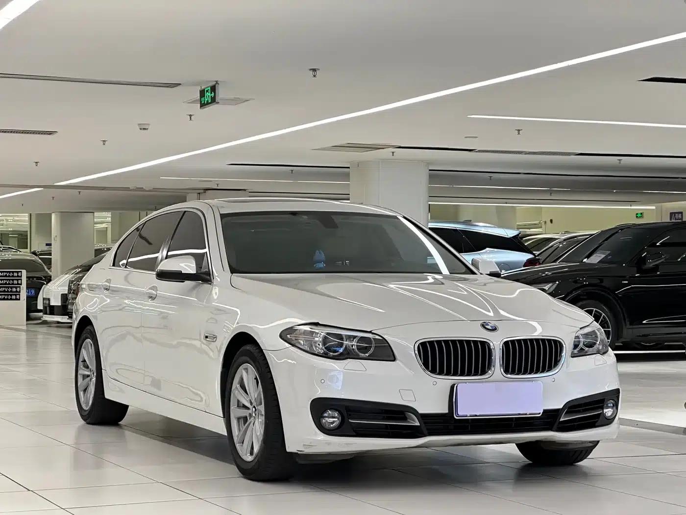 2014 BMW 5 Series 520Li Elegant Edition — миниатюра 3