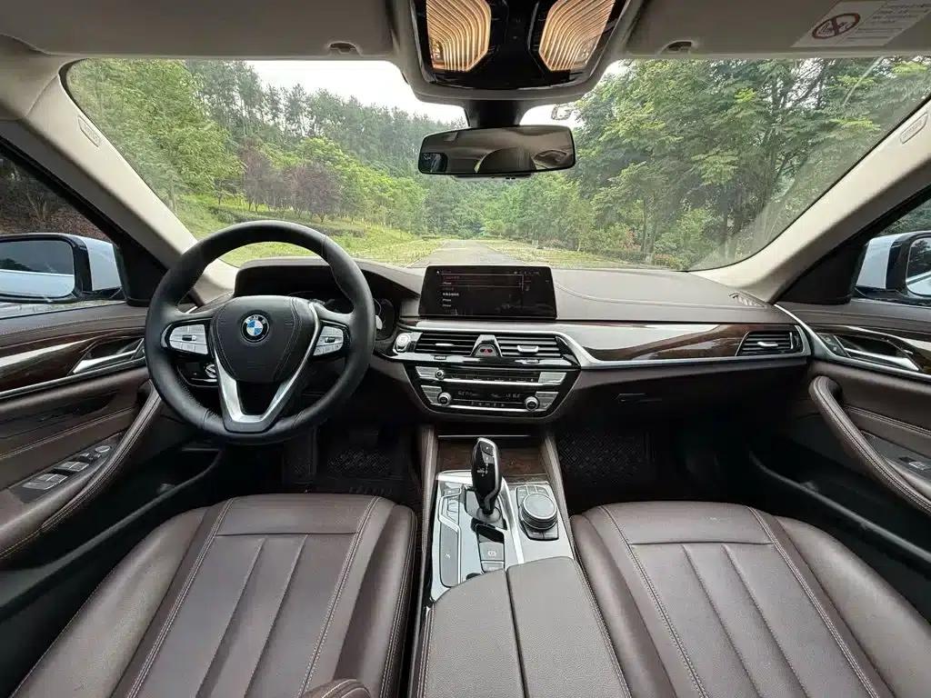 2020 BMW 5 Series 525Li Luxury Package — миниатюра 11