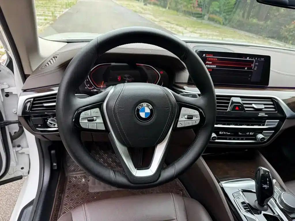 2020 BMW 5 Series 525Li Luxury Package — миниатюра 12