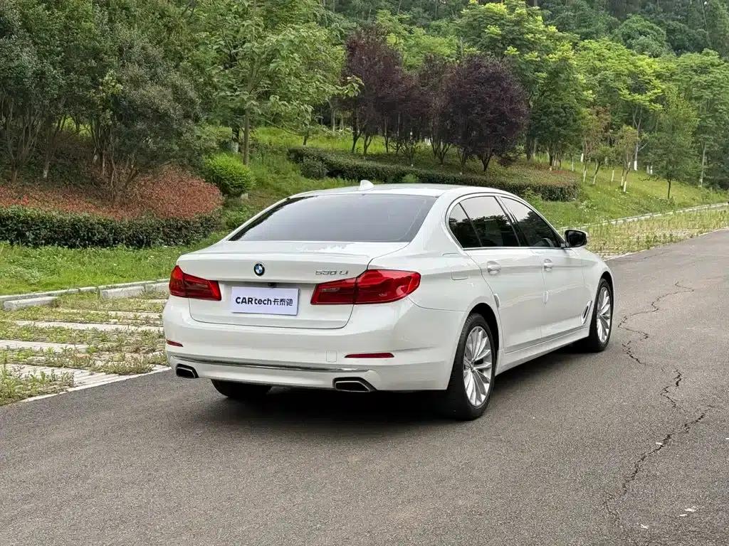 2020 BMW 5 Series 525Li Luxury Package — миниатюра 4