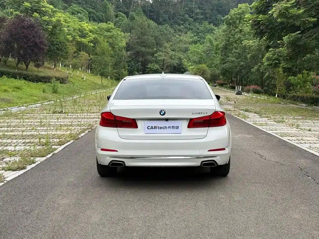 2020 BMW 5 Series 525Li Luxury Package — миниатюра 5
