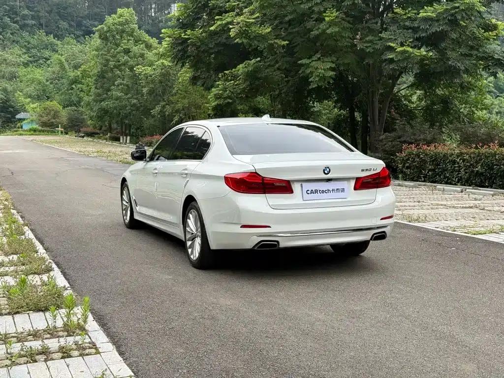 2020 BMW 5 Series 525Li Luxury Package — миниатюра 6