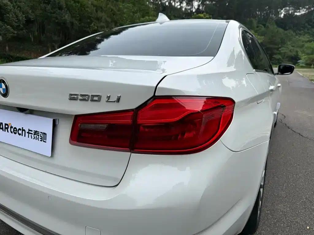 2020 BMW 5 Series 525Li Luxury Package — миниатюра 8