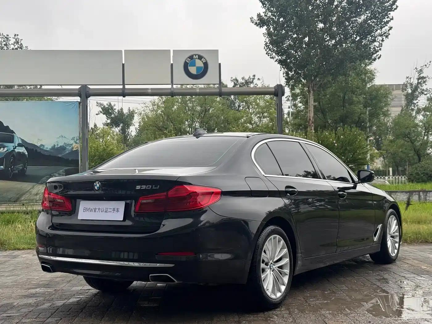 BMW 5 Series 2019 530Li Leading Luxury Package — миниатюра 5
