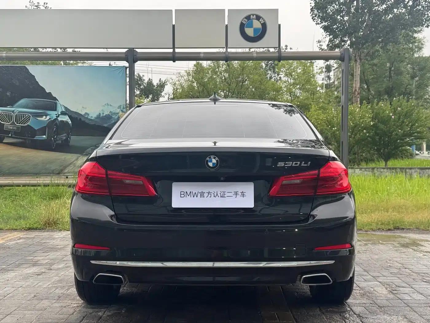 BMW 5 Series 2019 530Li Leading Luxury Package — миниатюра 6