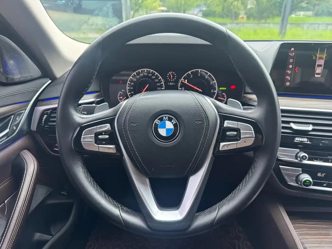 BMW 5 Series 2019 530Li Leading Luxury Package — миниатюра 10