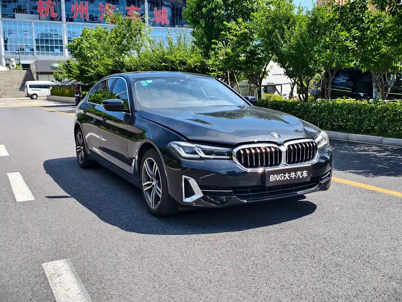 2022 BMW 5 Series Facelift 530Li xDrive Luxury Package — миниатюра 3
