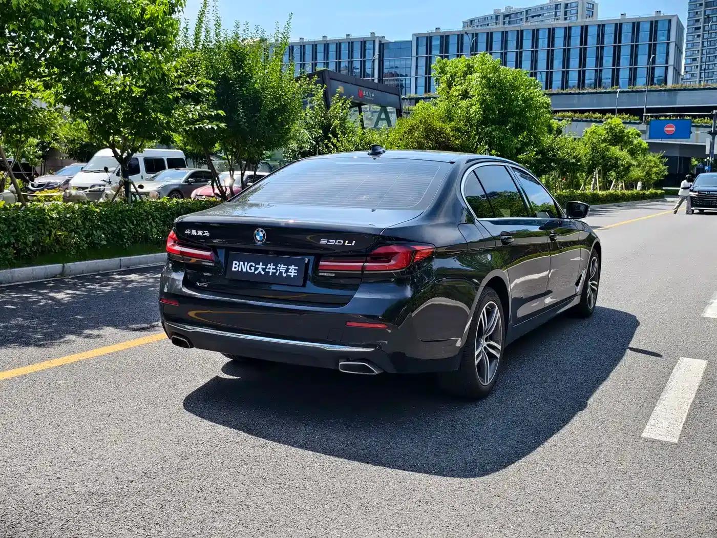 2022 BMW 5 Series Facelift 530Li xDrive Luxury Package — миниатюра 5