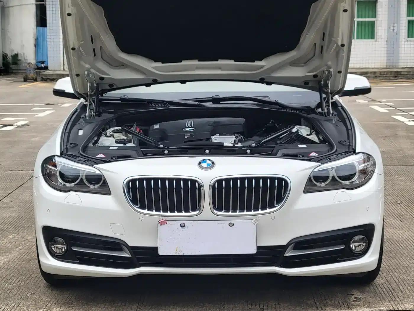 2014 BMW 5 Series 525Li Leading Edition — миниатюра 5