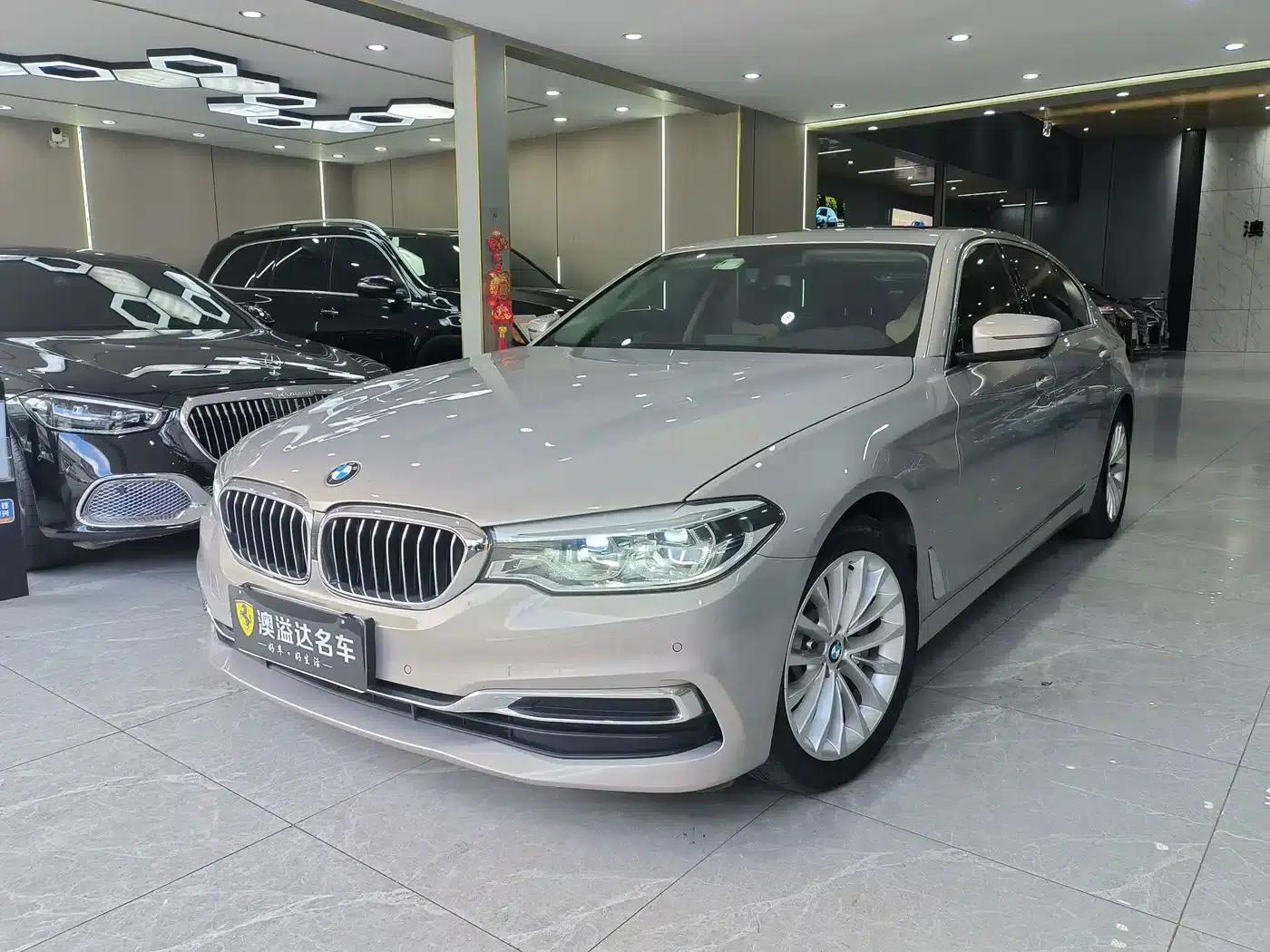 BMW 5 Series 2020 530Li Leading Luxury Package — миниатюра 1