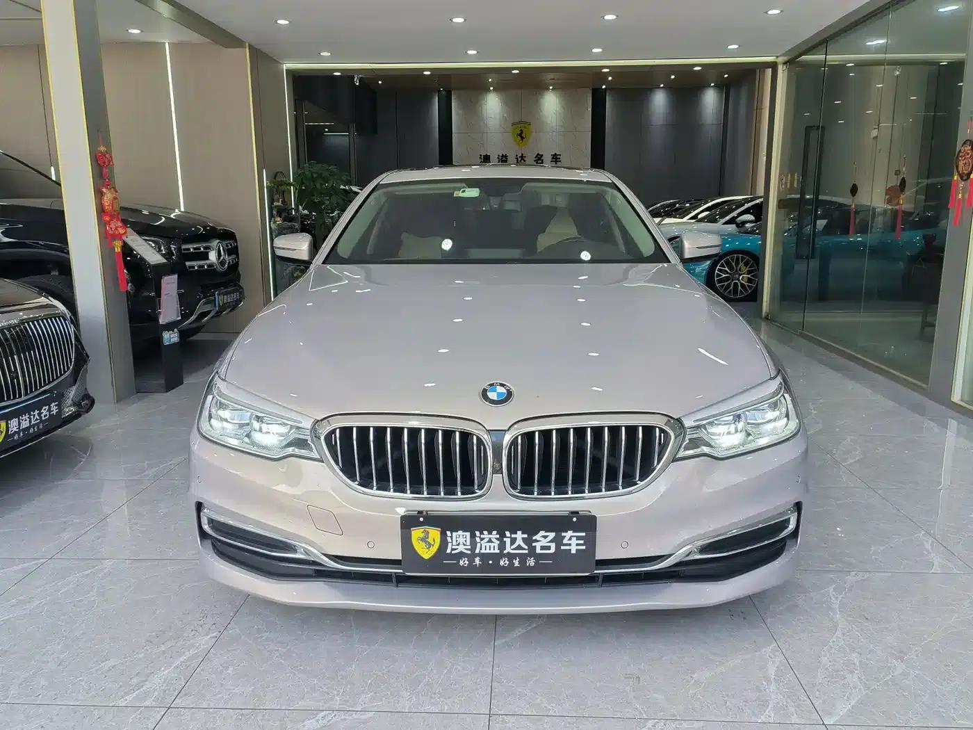 BMW 5 Series 2020 530Li Leading Luxury Package — миниатюра 2
